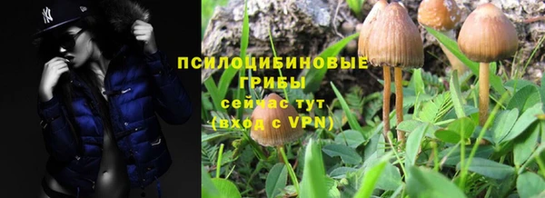 стафф Беломорск
