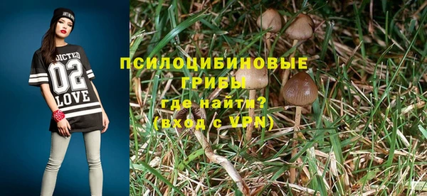 стафф Беломорск