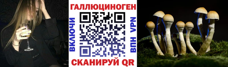 Псилоцибиновые грибы мицелий  Сыктывкар 
