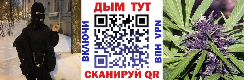 продажа наркотиков  Сыктывкар  Шишки марихуана гибрид 
